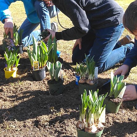 Schüler*innen pflanzen am Josef-Otto-Platz