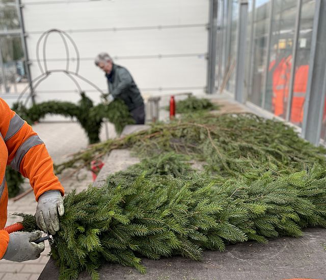 Mitarbeiterinnen des Gartenamtes binden das grüne Grundgerüst für die Osterbrunnen.
