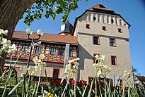 Kaiserpfalz