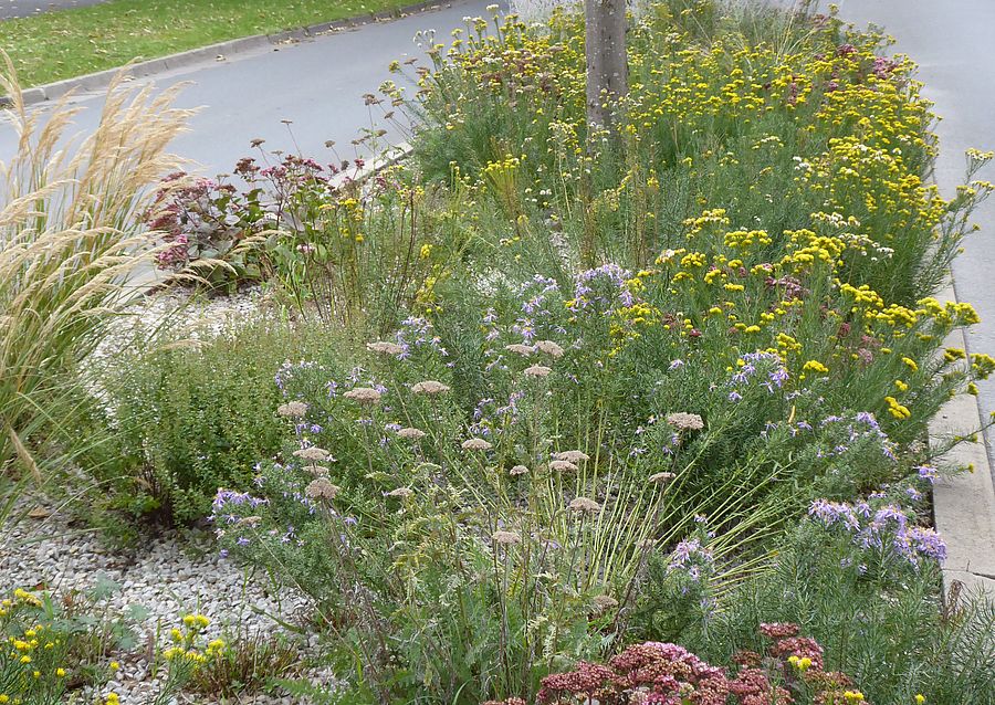 Bepflanzungen an der Straße