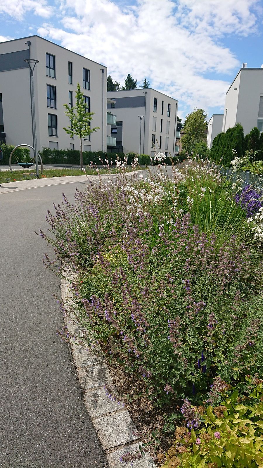 Blumenbeet an Straße