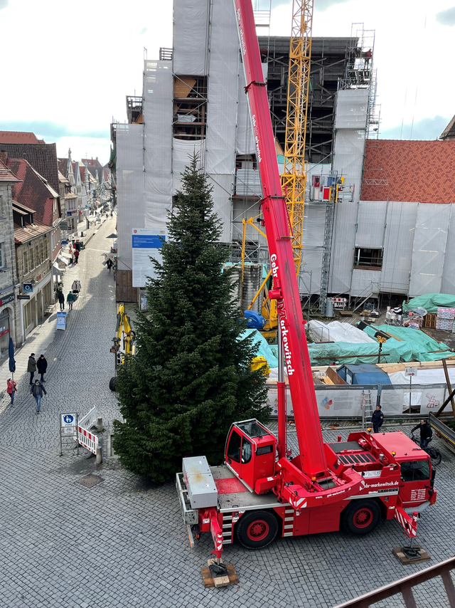 EIn großer Tannenbaum wird von einem Kran auf einem städtischen Platz aufgestellt.