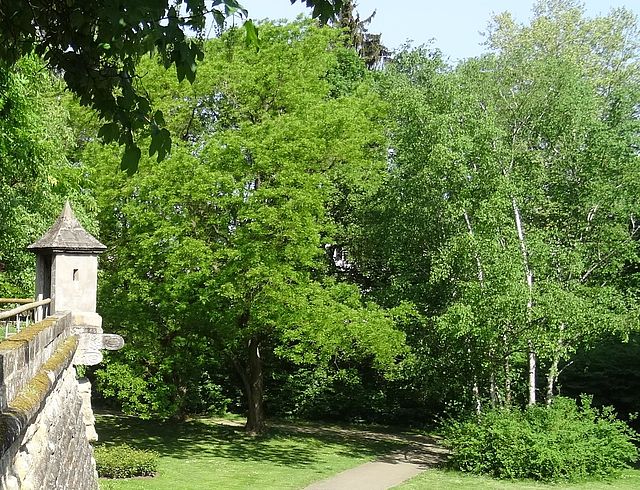 Stadtpark Foto: Stadt Forchheim