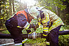 Waldbrandübung Foto: THW Forchheim Dominik Nögel 