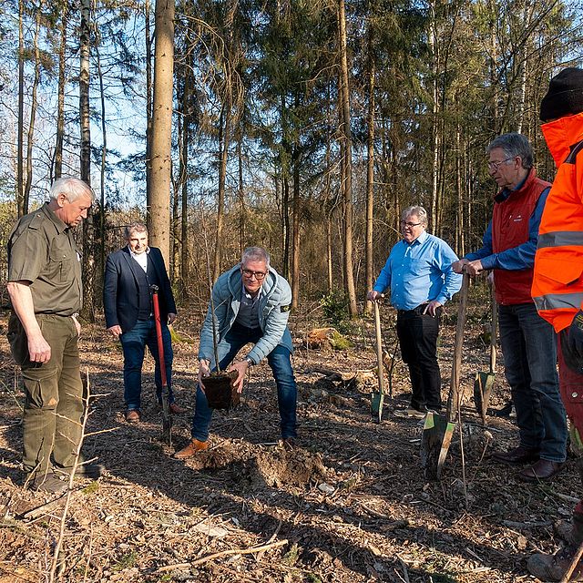 Personen beim Baumpflanzen