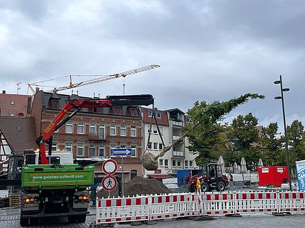 LKW_Kran lässt Baum von der Ladefläche auf den Paradeplatz herunter