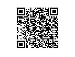 QR-Code Online-Abstimmung Rathaus